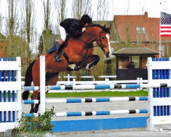 broodmare Fin Chin van't Gelutt (Belgian Warmblood, 2005, from Chin Chin)