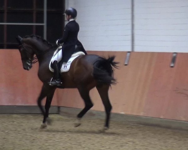 Reitturnier Ratingen-Hösel - Gut Gützenhof 2019