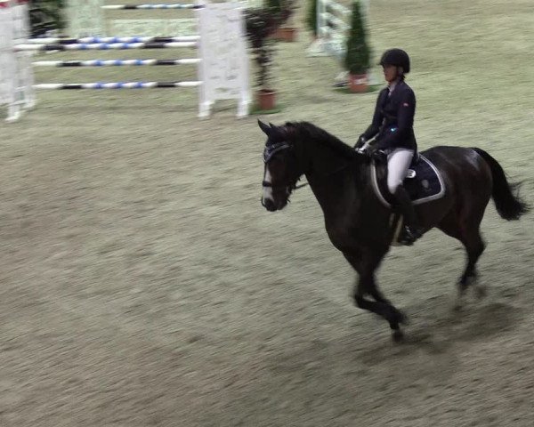Nordic Jumping events 2019