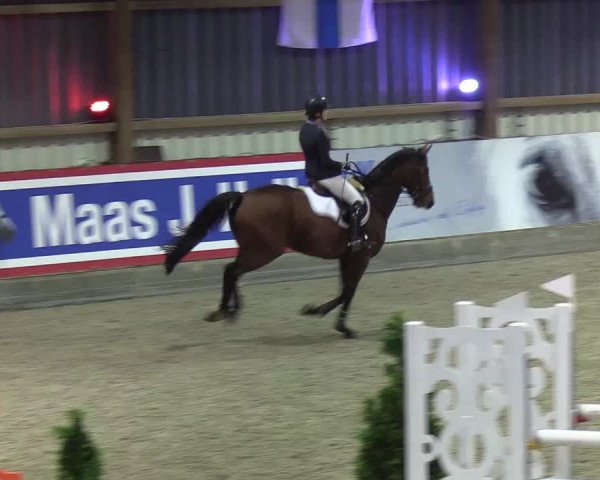Nordic Jumping events 2019