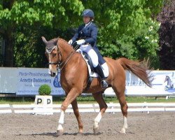 dressage horse La Rochelle d'la Coeur (Oldenburg, 2004, from Landwind II)