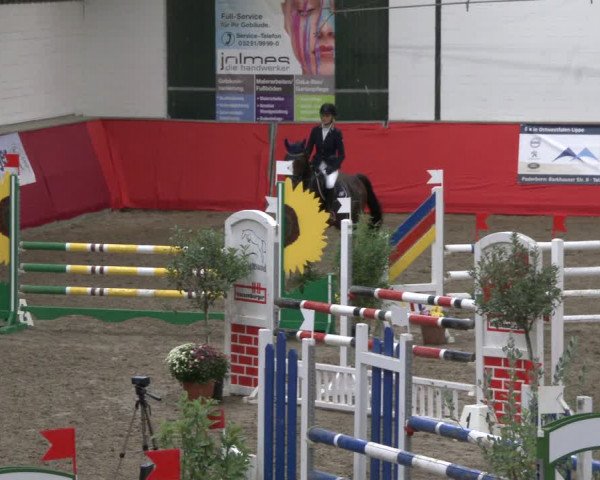 Reitturnier Salzkotten 2019
