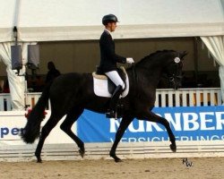 dressage horse Fürst Oliver 2 (Hanoverian, 2012, from Fürstenball)