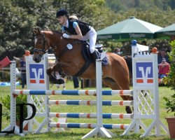 jumper Kairo 49 (German Riding Pony, 2004, from Kaiserstolz)