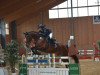 jumper Momo 465 (KWPN (Royal Dutch Sporthorse), 2006, from Quite Easy I)