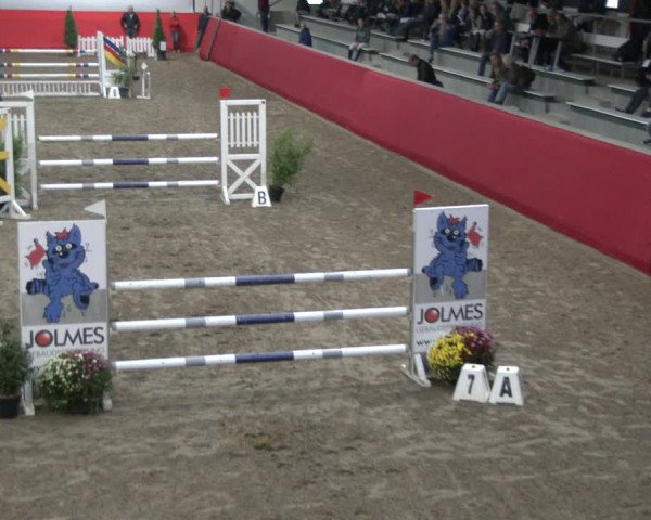 Reitturnier Salzkotten 2019