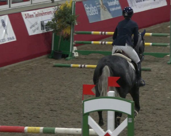Reitturnier Salzkotten 2019
