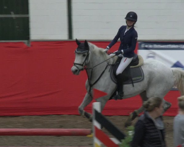 Reitturnier Salzkotten 2019