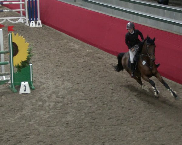 Reitturnier Salzkotten 2019