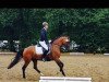 dressage horse Fleur de Flanagan (Rhinelander, 2010, from Flanagan)