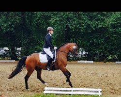 dressage horse Fleur de Flanagan (Rhinelander, 2010, from Flanagan)