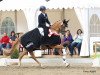 broodmare Djaimy Royal J (German Riding Pony, 2012, from Dimension AT NRW)