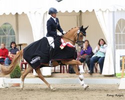 broodmare Djaimy Royal J (German Riding Pony, 2012, from Dimension AT NRW)