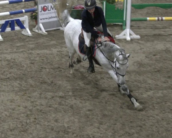 Reitturnier Salzkotten 2019