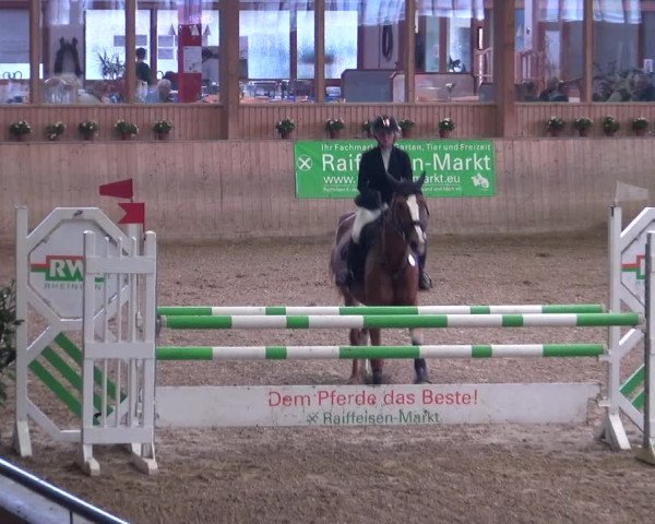 Reitturnier Köln-Leverkusen 2019