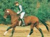 horse Legat (Hanoverian, 1983, from Lanthan)