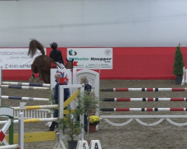 Reitturnier Salzkotten 2019