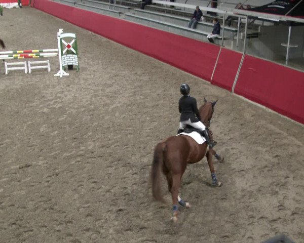 Reitturnier Salzkotten 2019