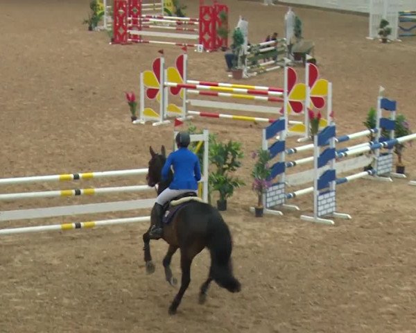 Reitturnier Kreuth/Opf. 2019