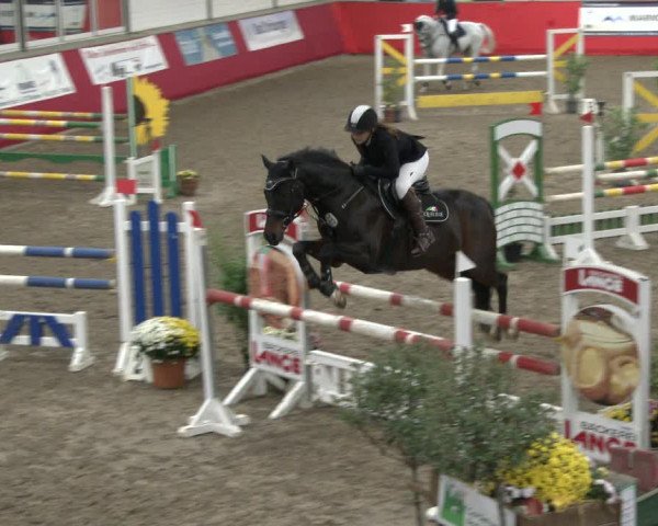 Reitturnier Salzkotten 2019