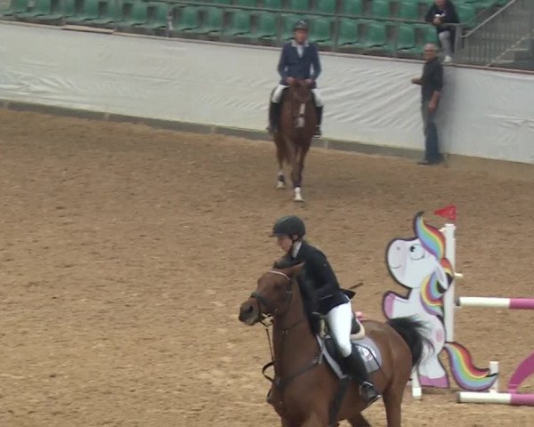 Reitturnier Kreuth/Opf. 2019