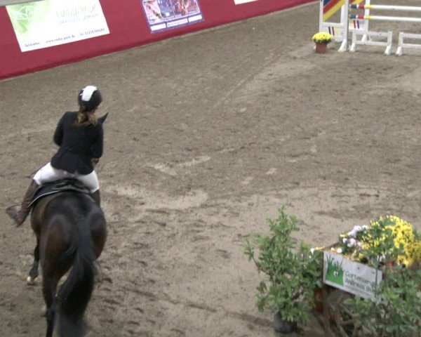 Reitturnier Salzkotten 2019