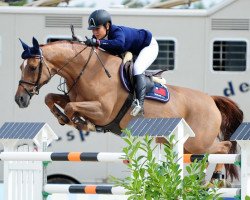 broodmare Zadarijke V (KWPN (Royal Dutch Sporthorse), 2004, from San Remo)