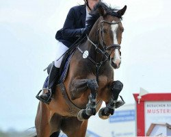 jumper Corine 5 (KWPN (Royal Dutch Sporthorse), 2007, from Vittorio)