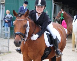 dressage horse Masu le Beau (German Riding Pony, 2003, from Principal Boy)