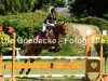 jumper Hermine (German Riding Pony, 2005, from Germany)