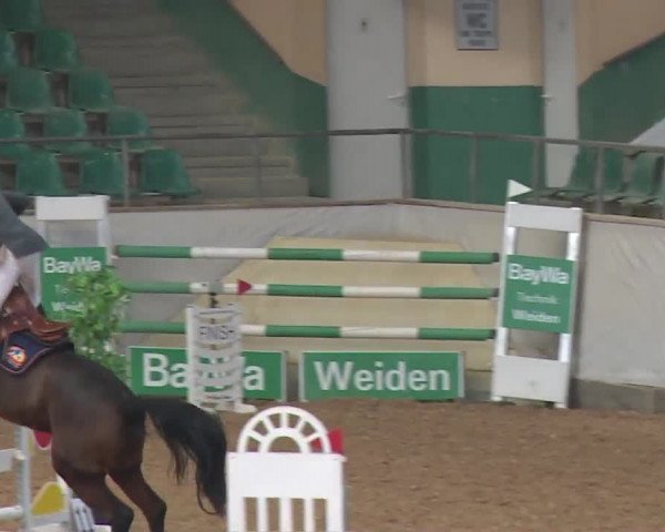 Reitturnier Kreuth/Opf. 2019