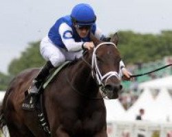 broodmare Tepin xx (Thoroughbred, 2011, from Bernstein xx)