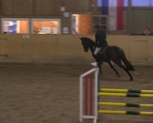 Reitturnier Sörup 2019