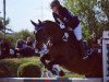 jumper Cera 52 (Hanoverian, 2006, from Chalet)