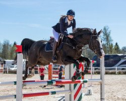 Springpferd Bagheera JL (Schwedisches Warmblut, 2011, von Baltimore 1178)