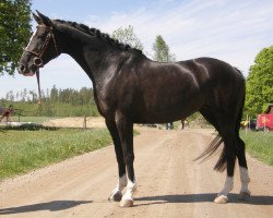 broodmare Esmeralda 29651 (Swedish Warmblood, 1998, from Szkopul 929)