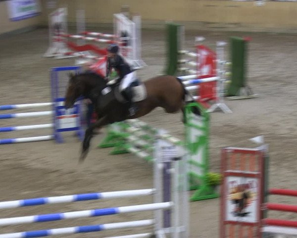Reitturnier Sörup 2019