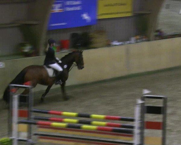 Reitturnier Sörup 2019