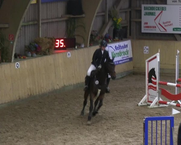 Reitturnier Sörup 2019