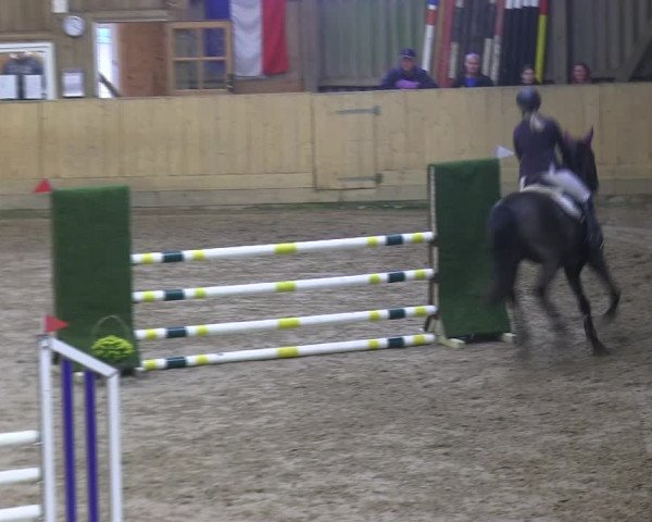 Reitturnier Sörup 2019