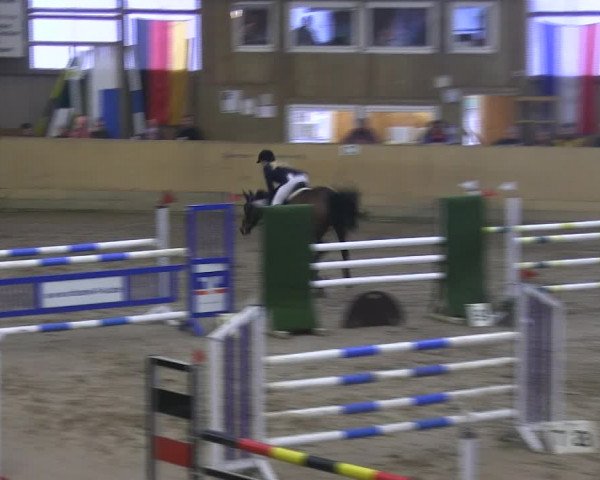 Reitturnier Sörup 2019