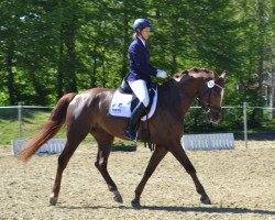 dressage horse Faceman W (Westfale, 2012, from Fiano)