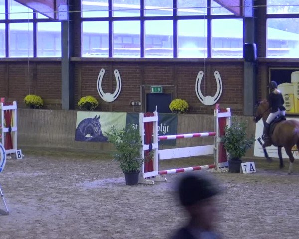 Reitturnier Köln-Leverkusen 2019