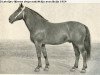 stallion Riksis (Latvian Warmblood, 1944, from Dailonis)