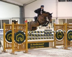 broodmare Cristy (Zangersheide riding horse, 2006, from Canturo)