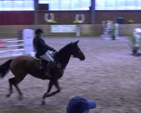Reitturnier Köln-Leverkusen 2019