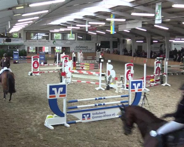 Reitturnier Vreden 2019