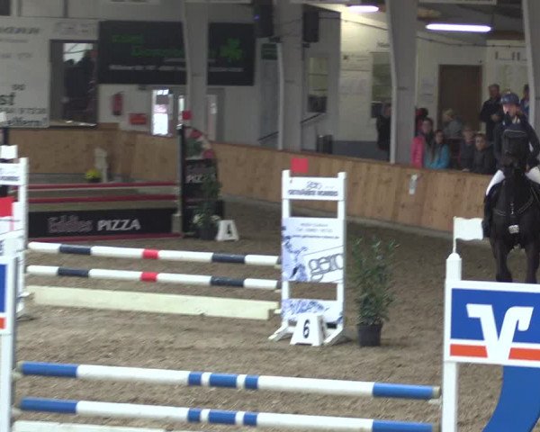 Reitturnier Vreden 2019