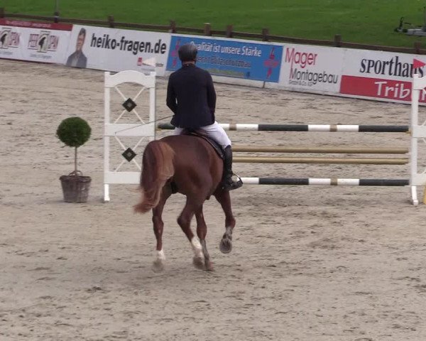 Reitturnier Westergellersen 2021