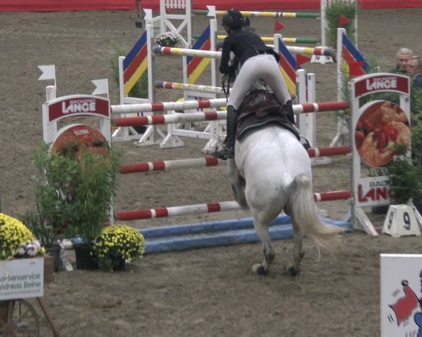 Reitturnier Salzkotten 2019
